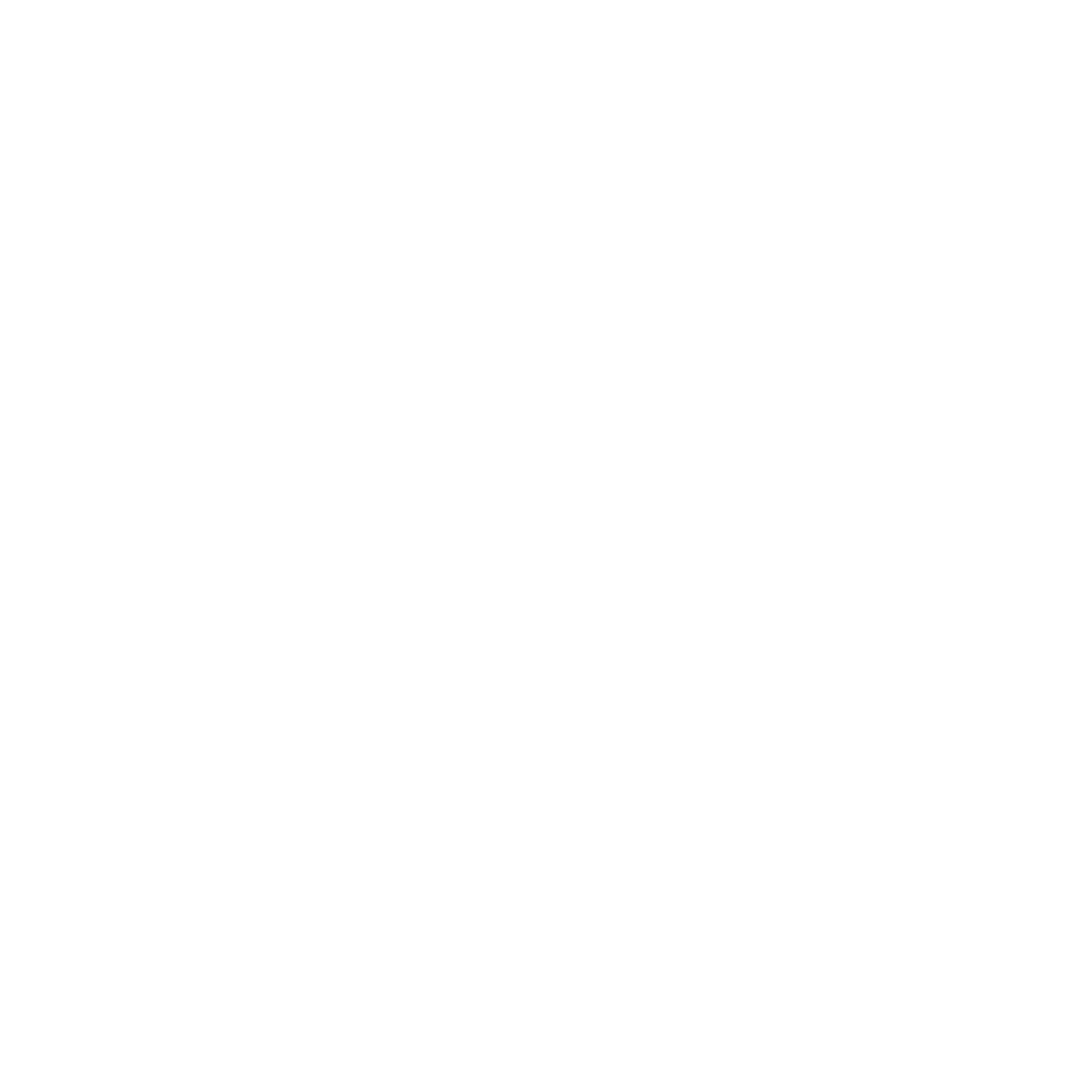 maas-zurich